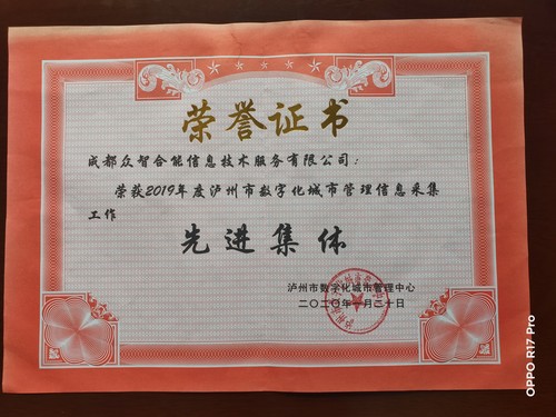 榮譽證書-瀘州市數(shù)字化城市管理中心