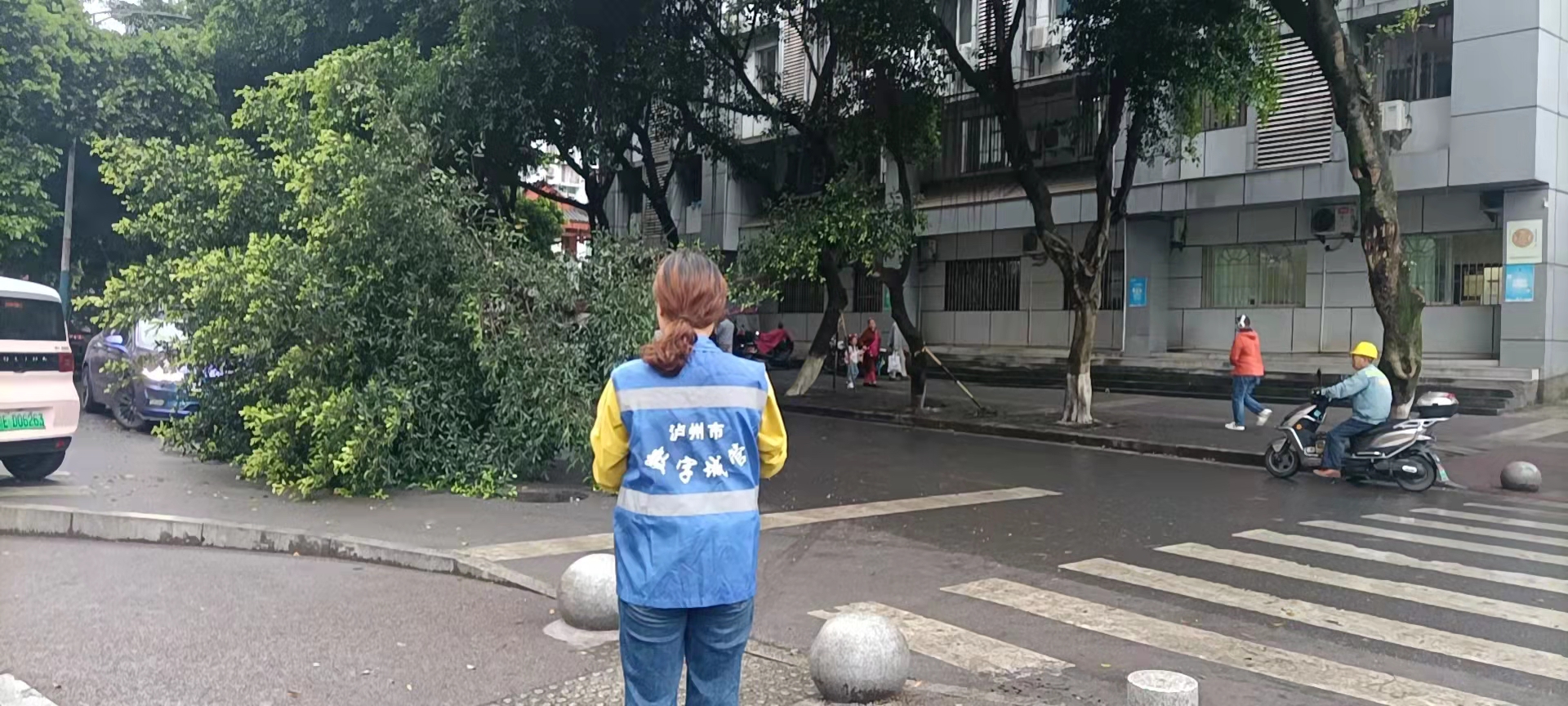 堅(jiān)持雨后精準(zhǔn)采集，共護(hù)市民出行安全